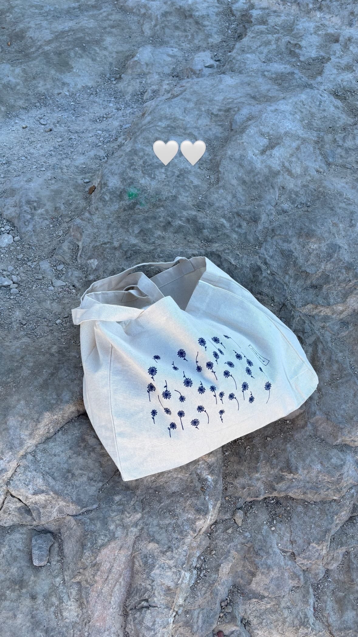 The Biches & Bûches Cabas