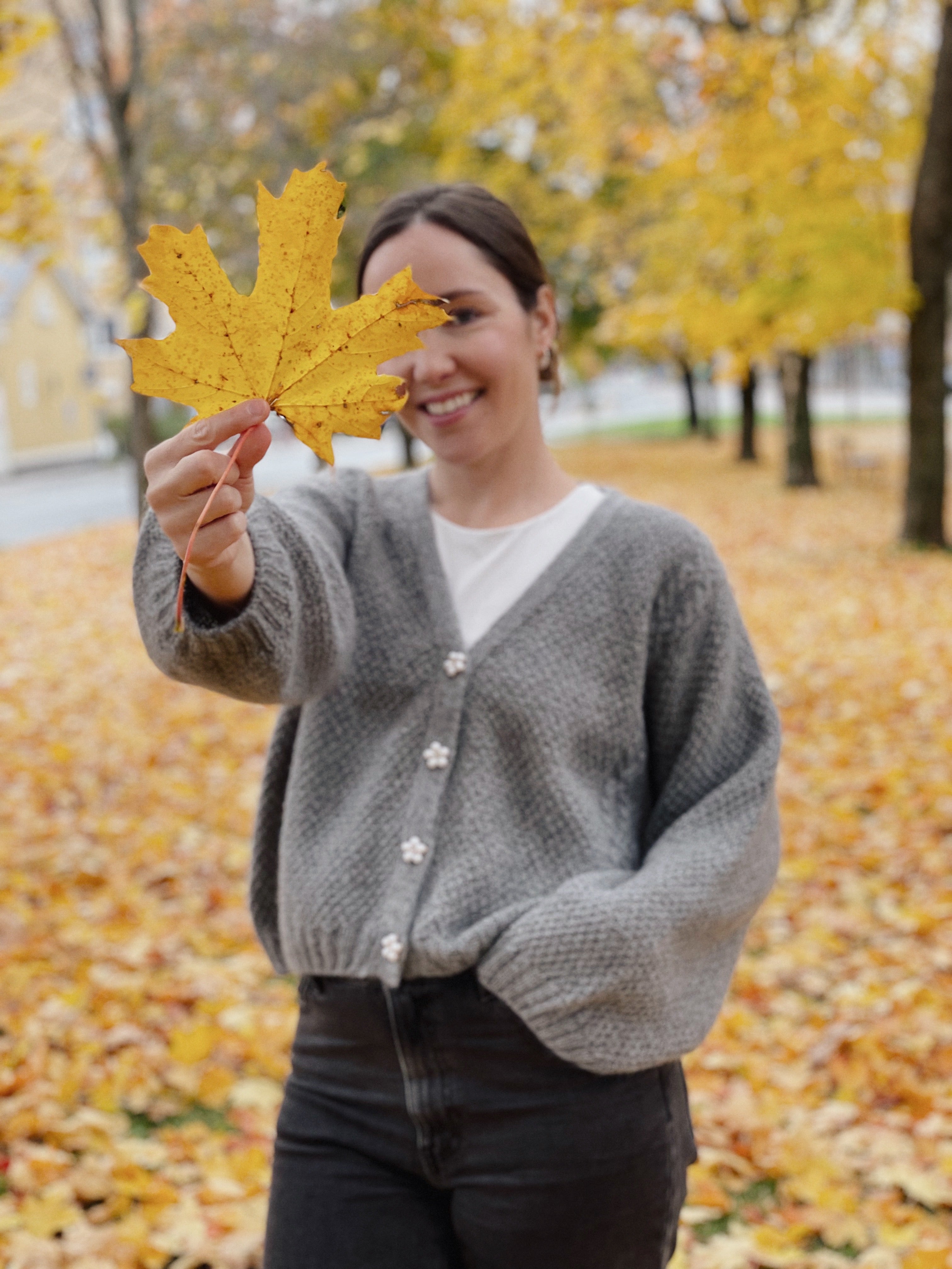 Birgitte Cardigan by Anna Tanskanen
