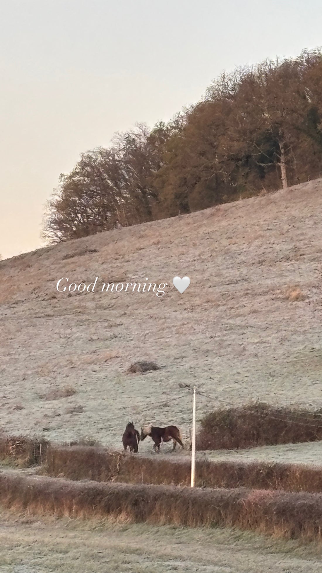 Special December Box — Nid Sweater by Rui Yamamuro