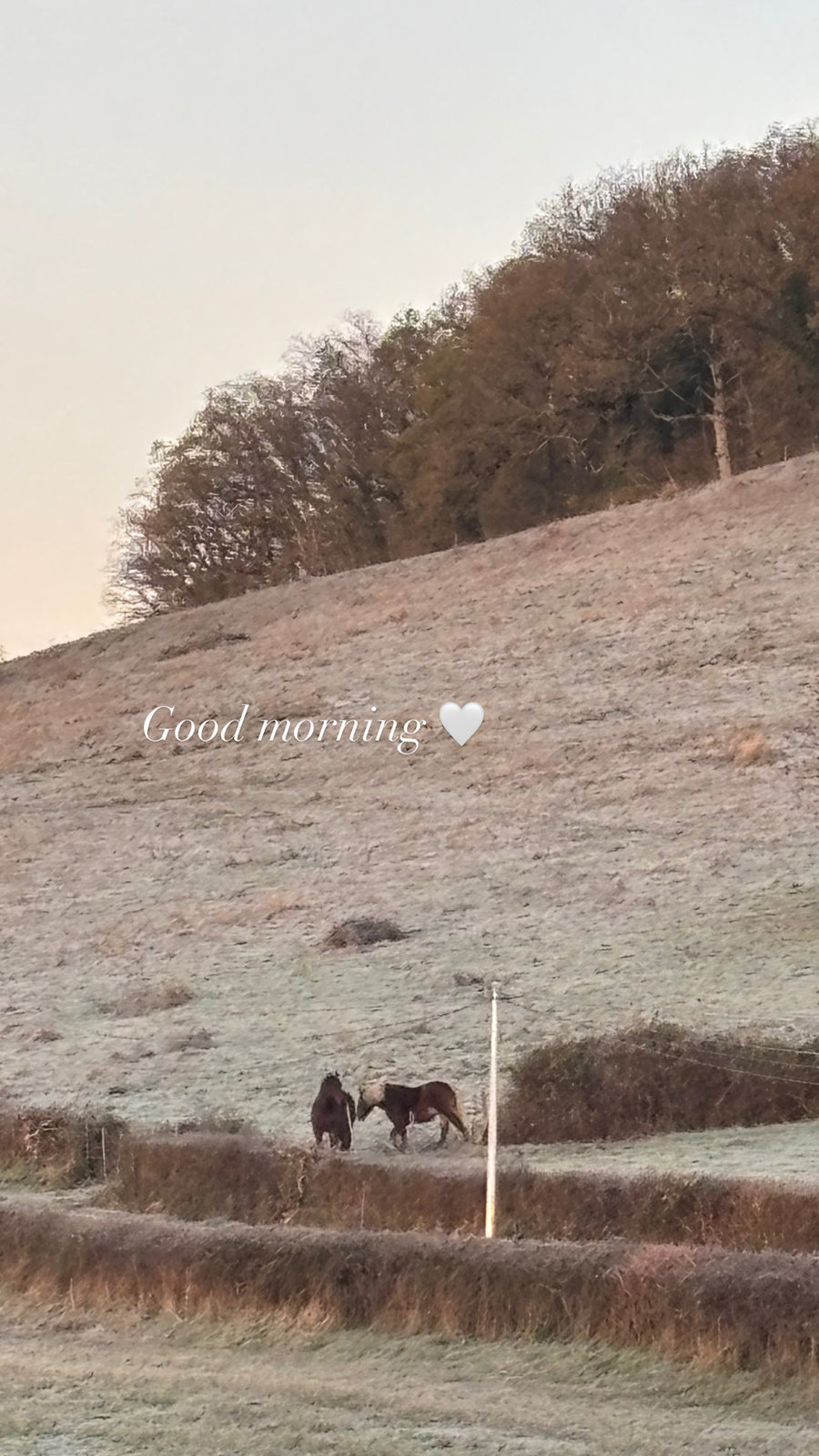 Special December Box — Nid Sweater by Rui Yamamuro