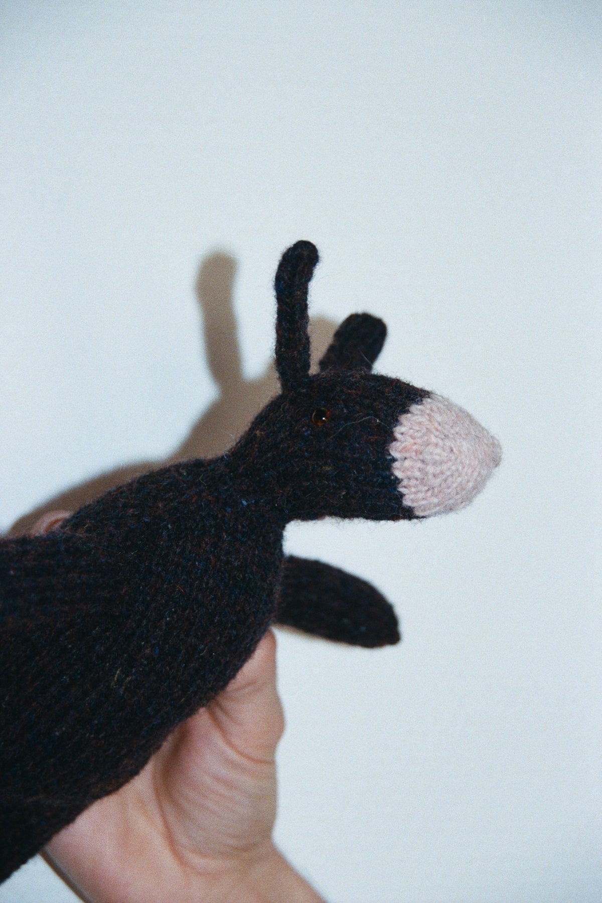 The Raglan Donk by Abby Keep