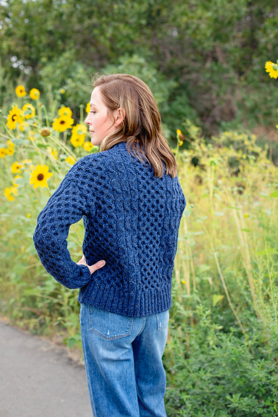 Tayler Anne Knits - The Apiary Sweater wool bundle