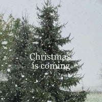 Special December Box — Nid Sweater by Rui Yamamuro