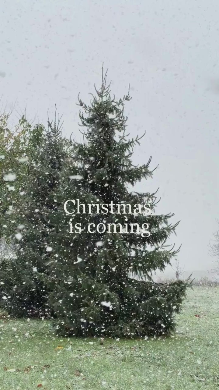 Special December Box — Nid Sweater by Rui Yamamuro