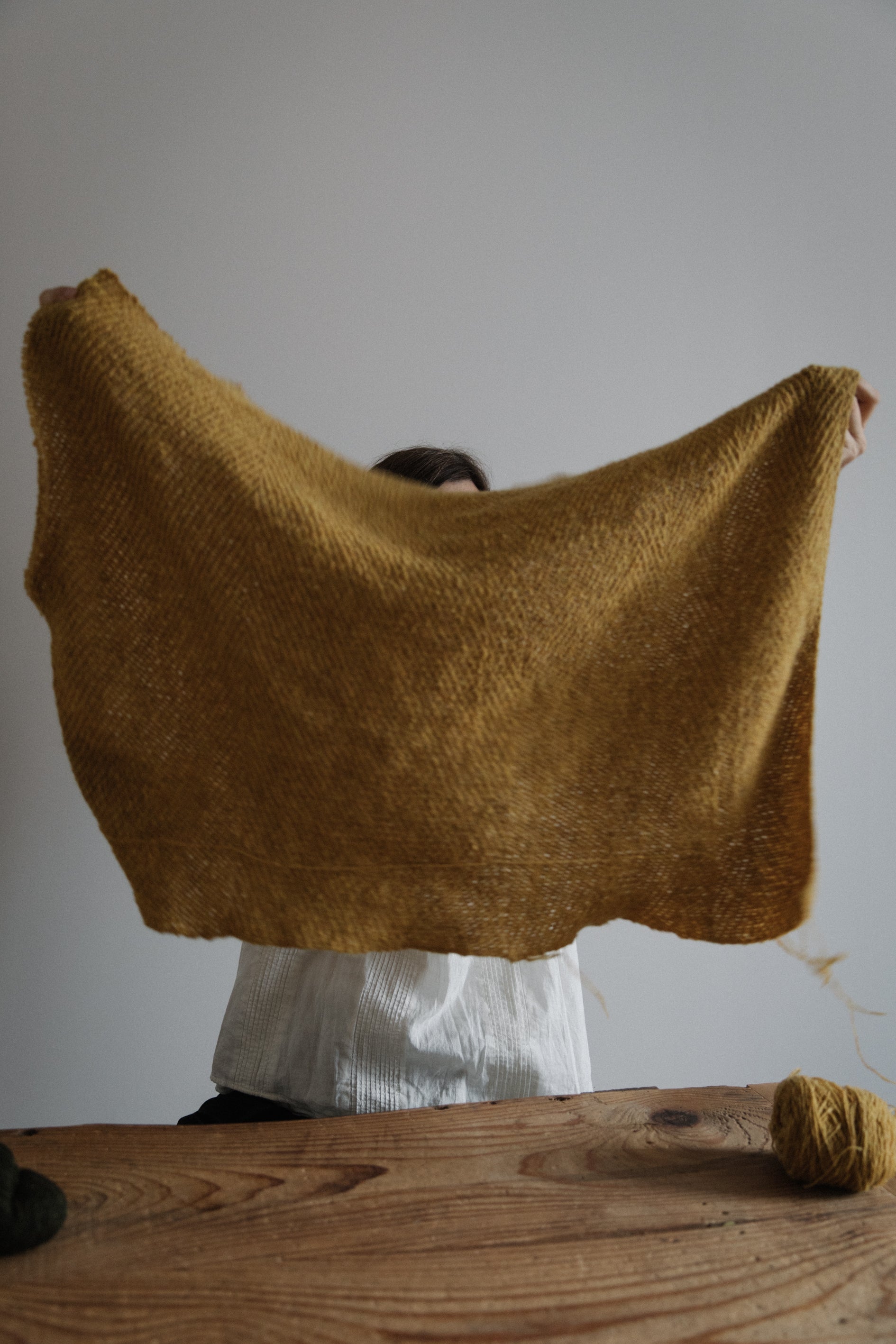 WH - Biches & Bûches no. 62 - pdf pattern dansk