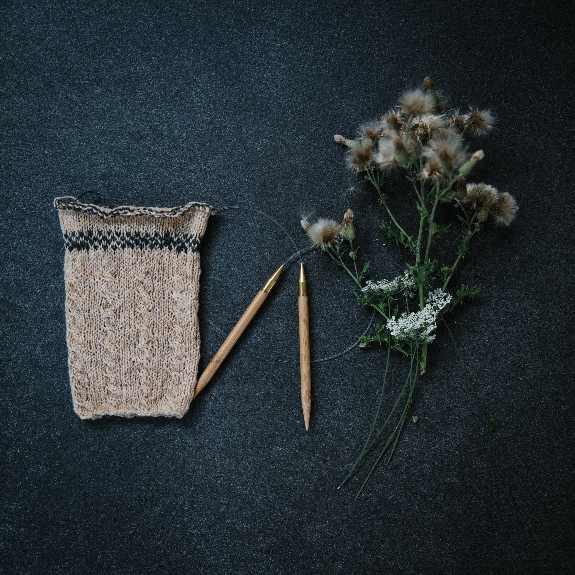 Aiguilles circulaires